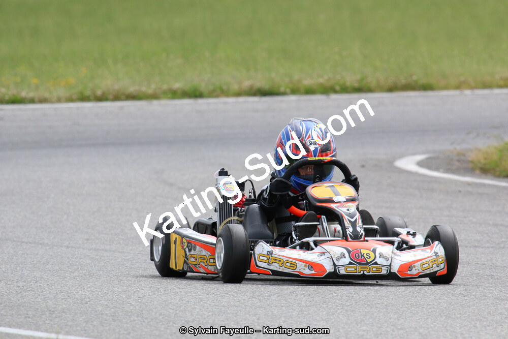 12/06/2016 : Course Club de Muret (Photos Sylvain Fayeulle) 2016 — karting