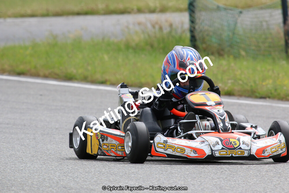 12/06/2016 : Course Club de Muret (Photos Sylvain Fayeulle) 2016 — karting
