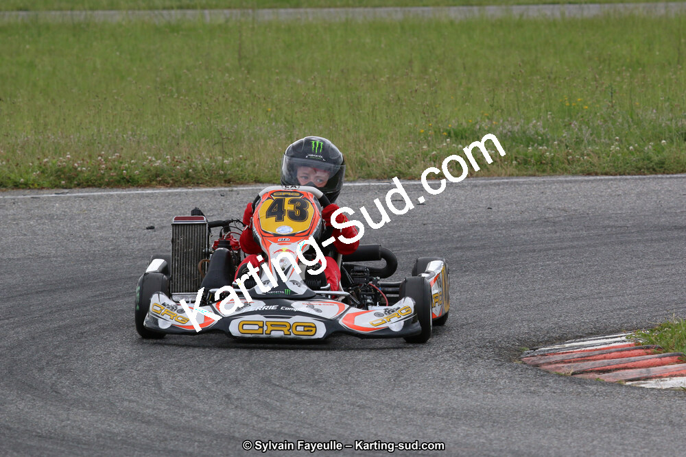 12/06/2016 : Course Club de Muret (Photos Sylvain Fayeulle) 2016 — karting