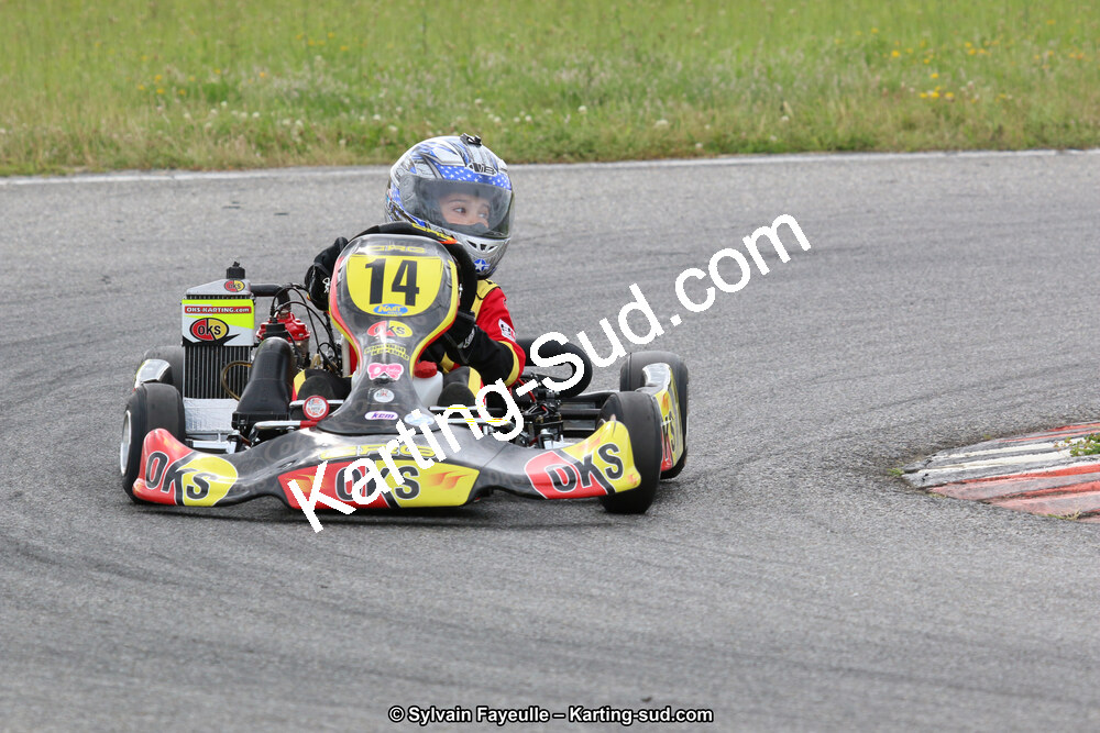 12/06/2016 : Course Club de Muret (Photos Sylvain Fayeulle) 2016 — karting