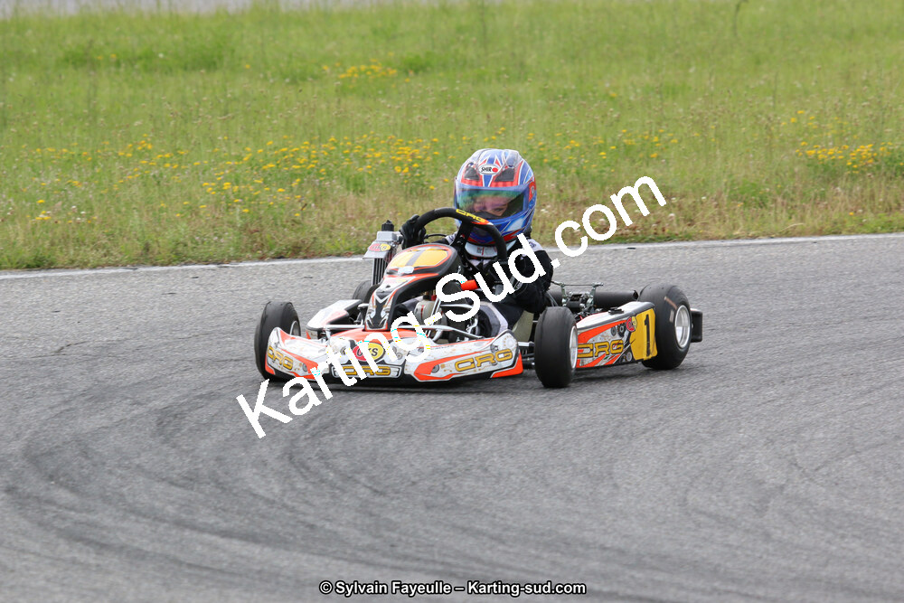 12/06/2016 : Course Club de Muret (Photos Sylvain Fayeulle) 2016 — karting
