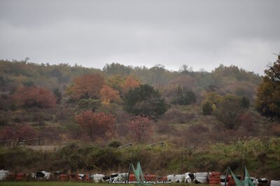 20/11/2016 : Seranne Trophy à Ganges (Photos Antoine Camblor) 2016 — karting