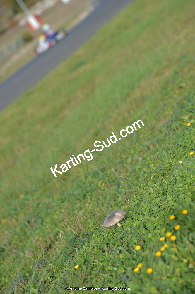 20/11/2016 : Seranne Trophy à Ganges (Photos Antoine Camblor) 2016 — karting