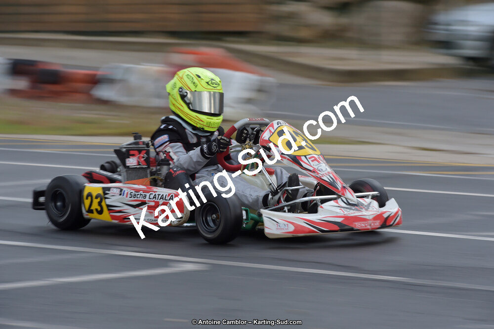 _D4S5554_DxO.jpg