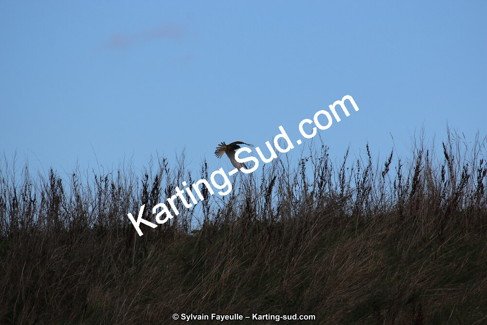 27/11/2016 : Les 6H loisir de Karting 2 Muret (Photos Sylvain Fayeulle) 2016 — karting