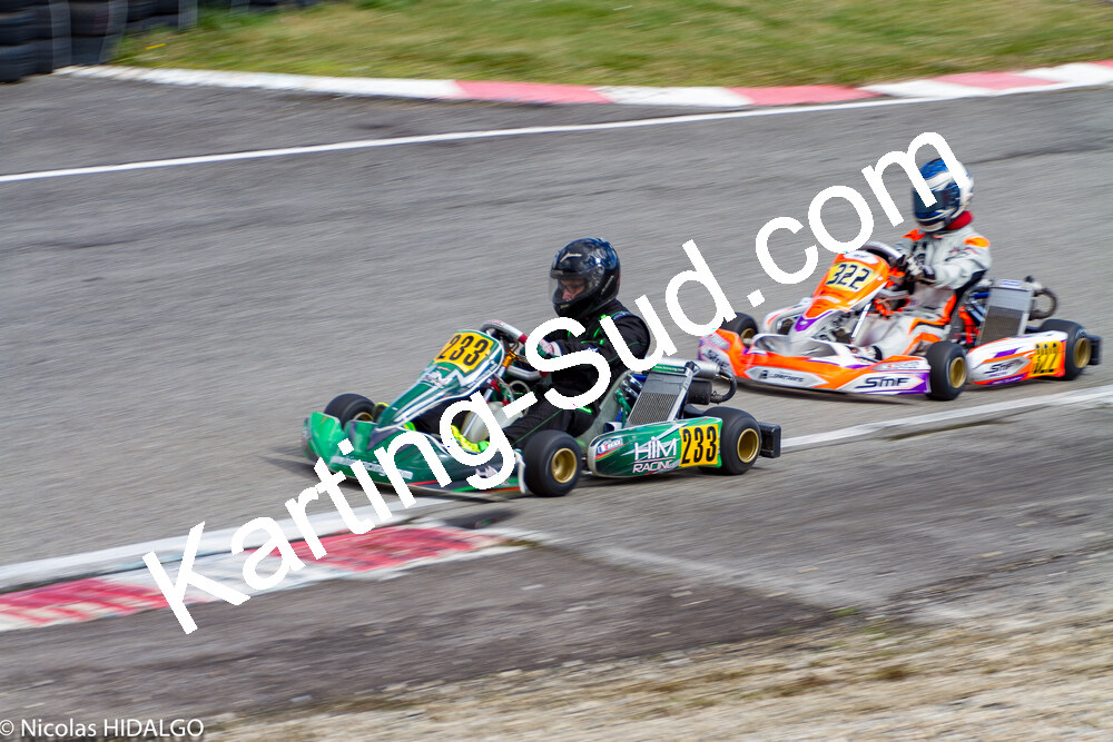 IMG_6553.jpg