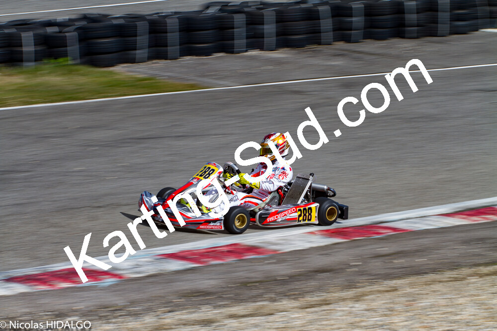 IMG_6589.jpg