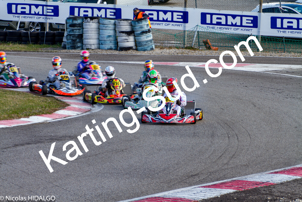 IMG_6613.jpg