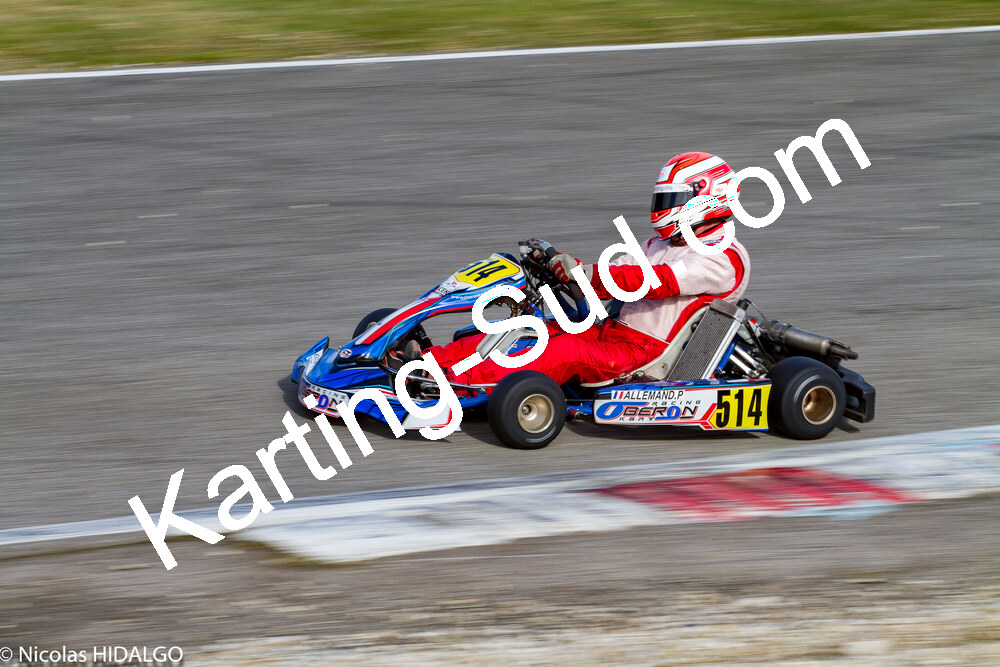 IMG_6964.jpg