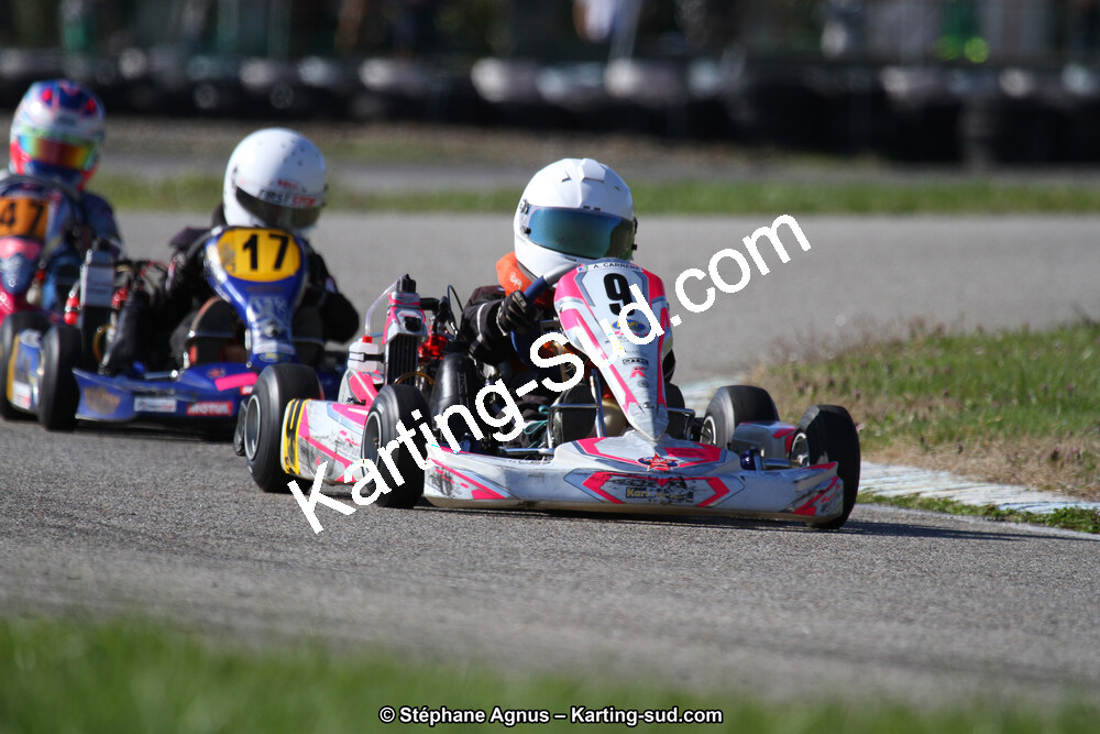 IMG_2522.JPG
