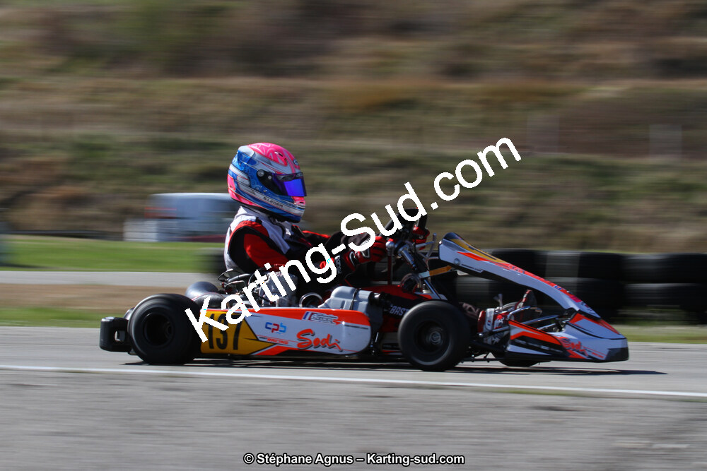 IMG_3555.JPG