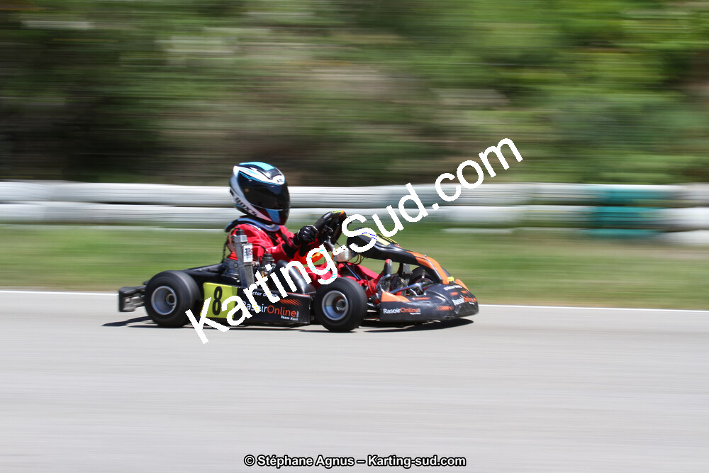 29 & 30/04/2017 : 3ème manche du Championnat du Sud 2017 à Alès et Championnat de Ligue Rhône-Alpes (Photos Stéphane Agnus) 2017 — karting