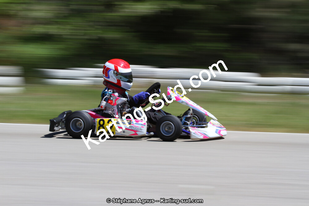 29 & 30/04/2017 : 3ème manche du Championnat du Sud 2017 à Alès et Championnat de Ligue Rhône-Alpes (Photos Stéphane Agnus) 2017 — karting