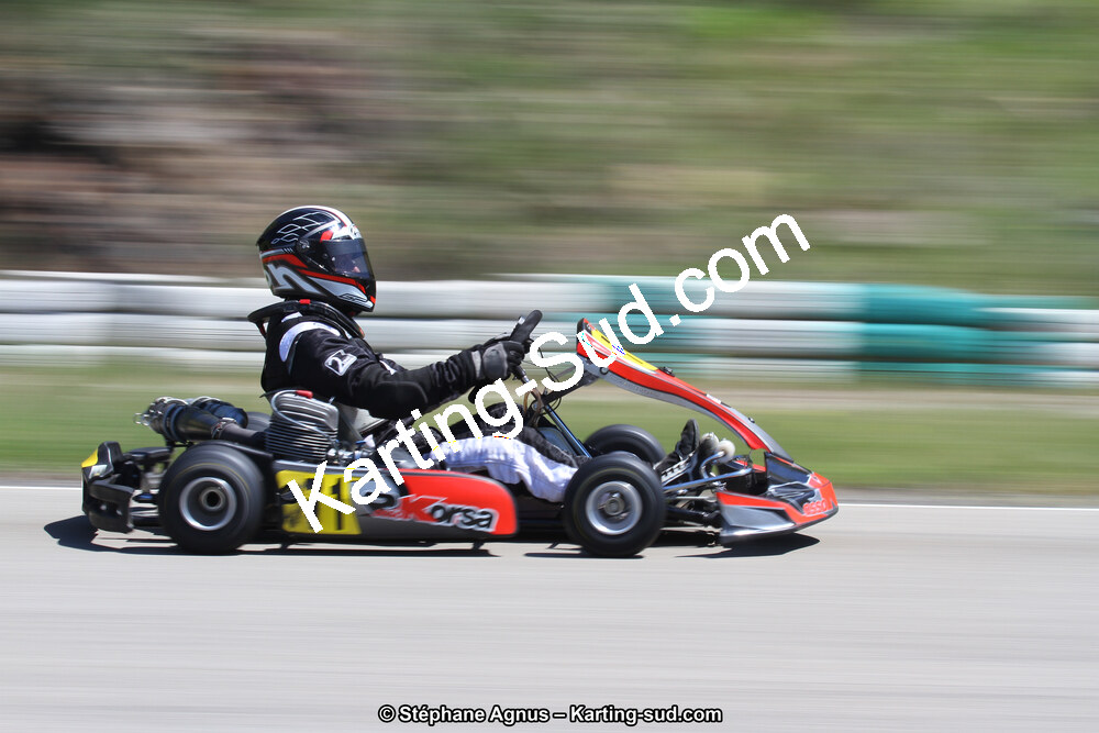 29 & 30/04/2017 : 3ème manche du Championnat du Sud 2017 à Alès et Championnat de Ligue Rhône-Alpes (Photos Stéphane Agnus) 2017 — karting