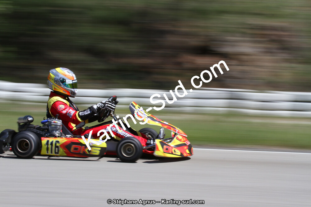 29 & 30/04/2017 : 3ème manche du Championnat du Sud 2017 à Alès et Championnat de Ligue Rhône-Alpes (Photos Stéphane Agnus) 2017 — karting