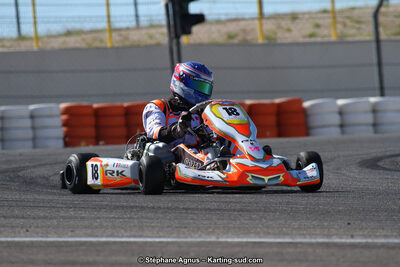 19,20 & 21/05/2017 : Championnat de France Long Circuit KZ2, KZ2 Master et KZ2 Gentleman, Championnat de France Open Superkart 250, Trophée Long Circuit TTI (Photos Stéphane Agnus et Thomas Suzanne) 2017 — karting