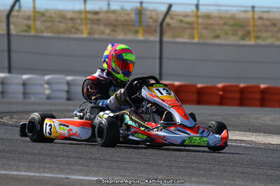 19,20 & 21/05/2017 : Championnat de France Long Circuit KZ2, KZ2 Master et KZ2 Gentleman, Championnat de France Open Superkart 250, Trophée Long Circuit TTI (Photos Stéphane Agnus et Thomas Suzanne) 2017 — karting
