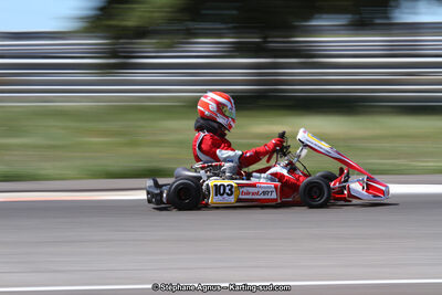 19,20 & 21/05/2017 : Championnat de France Long Circuit KZ2, KZ2 Master et KZ2 Gentleman, Championnat de France Open Superkart 250, Trophée Long Circuit TTI (Photos Stéphane Agnus et Thomas Suzanne) 2017 — karting