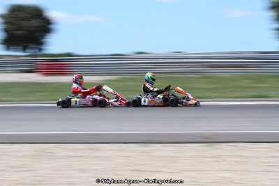 19,20 & 21/05/2017 : Championnat de France Long Circuit KZ2, KZ2 Master et KZ2 Gentleman, Championnat de France Open Superkart 250, Trophée Long Circuit TTI (Photos Stéphane Agnus et Thomas Suzanne) 2017 — karting