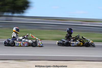 19,20 & 21/05/2017 : Championnat de France Long Circuit KZ2, KZ2 Master et KZ2 Gentleman, Championnat de France Open Superkart 250, Trophée Long Circuit TTI (Photos Stéphane Agnus et Thomas Suzanne) 2017 — karting
