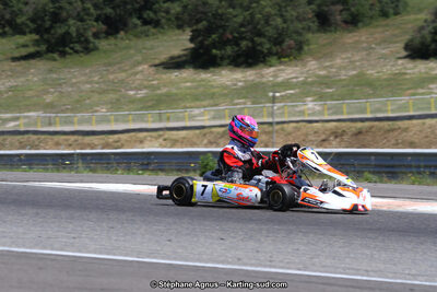 19,20 & 21/05/2017 : Championnat de France Long Circuit KZ2, KZ2 Master et KZ2 Gentleman, Championnat de France Open Superkart 250, Trophée Long Circuit TTI (Photos Stéphane Agnus et Thomas Suzanne) 2017 — karting