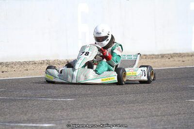 19,20 & 21/05/2017 : Championnat de France Long Circuit KZ2, KZ2 Master et KZ2 Gentleman, Championnat de France Open Superkart 250, Trophée Long Circuit TTI (Photos Stéphane Agnus et Thomas Suzanne) 2017 — karting