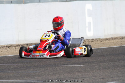 19,20 & 21/05/2017 : Championnat de France Long Circuit KZ2, KZ2 Master et KZ2 Gentleman, Championnat de France Open Superkart 250, Trophée Long Circuit TTI (Photos Stéphane Agnus et Thomas Suzanne) 2017 — karting