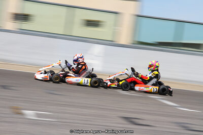 19,20 & 21/05/2017 : Championnat de France Long Circuit KZ2, KZ2 Master et KZ2 Gentleman, Championnat de France Open Superkart 250, Trophée Long Circuit TTI (Photos Stéphane Agnus et Thomas Suzanne) 2017 — karting