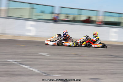 19,20 & 21/05/2017 : Championnat de France Long Circuit KZ2, KZ2 Master et KZ2 Gentleman, Championnat de France Open Superkart 250, Trophée Long Circuit TTI (Photos Stéphane Agnus et Thomas Suzanne) 2017 — karting