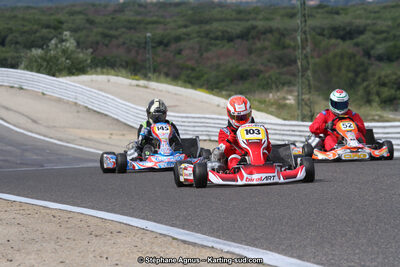 19,20 & 21/05/2017 : Championnat de France Long Circuit KZ2, KZ2 Master et KZ2 Gentleman, Championnat de France Open Superkart 250, Trophée Long Circuit TTI (Photos Stéphane Agnus et Thomas Suzanne) 2017 — karting