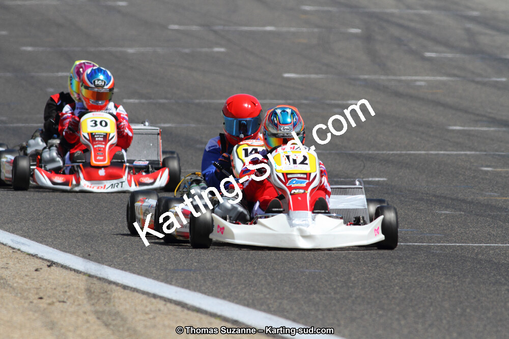 19,20 & 21/05/2017 : Championnat de France Long Circuit KZ2, KZ2 Master et KZ2 Gentleman, Championnat de France Open Superkart 250, Trophée Long Circuit TTI (Photos Stéphane Agnus et Thomas Suzanne) 2017 — karting