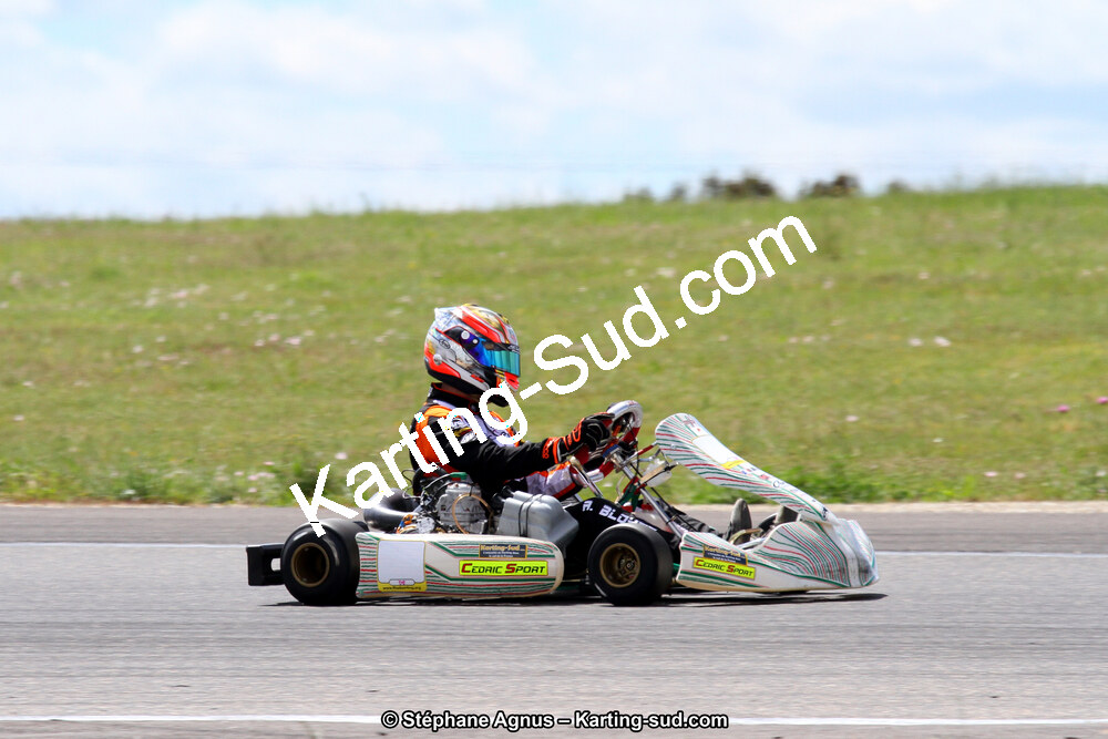 19,20 & 21/05/2017 : Championnat de France Long Circuit KZ2, KZ2 Master et KZ2 Gentleman, Championnat de France Open Superkart 250, Trophée Long Circuit TTI (Photos Stéphane Agnus et Thomas Suzanne) 2017 — karting