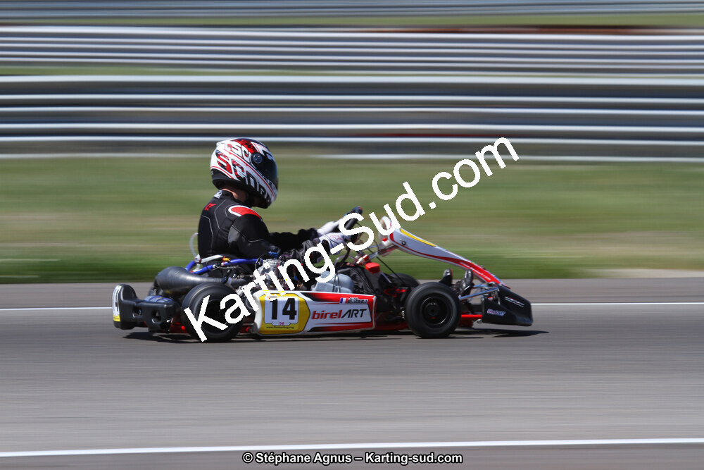 IMG_4517.JPG