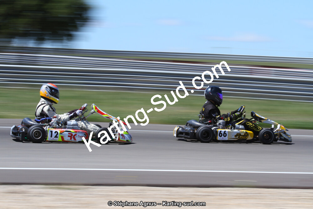 IMG_4646.JPG