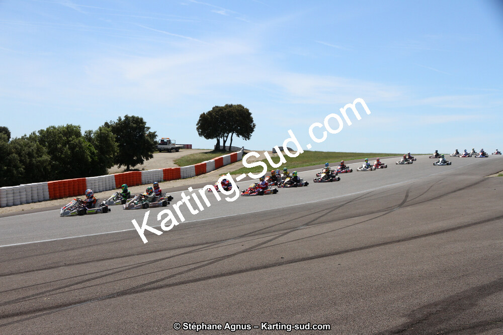 IMG_5994.JPG