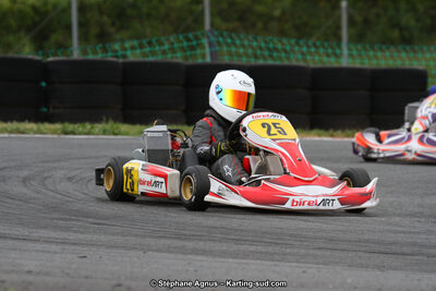03 & 04/06/2017 : 4ème manche du Championnat du Sud à Belmont sur Rance (Photos Stéphane Agnus) 2017 — karting