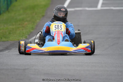 03 & 04/06/2017 : 4ème manche du Championnat du Sud à Belmont sur Rance (Photos Stéphane Agnus) 2017 — karting
