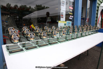 03 & 04/06/2017 : 4ème manche du Championnat du Sud à Belmont sur Rance (Photos Stéphane Agnus) 2017 — karting