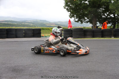 03 & 04/06/2017 : 4ème manche du Championnat du Sud à Belmont sur Rance (Photos Stéphane Agnus) 2017 — karting