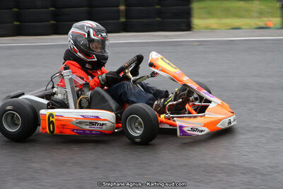 03 & 04/06/2017 : 4ème manche du Championnat du Sud à Belmont sur Rance (Photos Stéphane Agnus) 2017 — karting