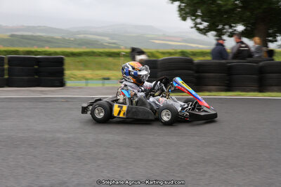 03 & 04/06/2017 : 4ème manche du Championnat du Sud à Belmont sur Rance (Photos Stéphane Agnus) 2017 — karting
