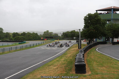 03 & 04/06/2017 : 4ème manche du Championnat du Sud à Belmont sur Rance (Photos Stéphane Agnus) 2017 — karting