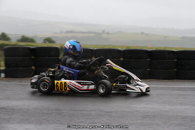 03 & 04/06/2017 : 4ème manche du Championnat du Sud à Belmont sur Rance (Photos Stéphane Agnus) 2017 — karting