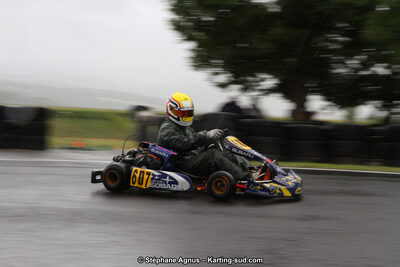 03 & 04/06/2017 : 4ème manche du Championnat du Sud à Belmont sur Rance (Photos Stéphane Agnus) 2017 — karting