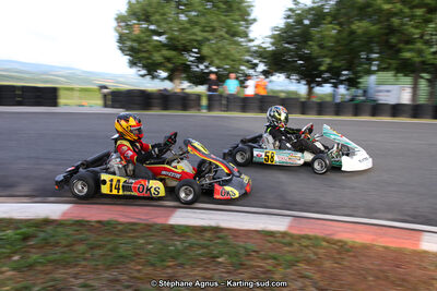 03 & 04/06/2017 : 4ème manche du Championnat du Sud à Belmont sur Rance (Photos Stéphane Agnus) 2017 — karting