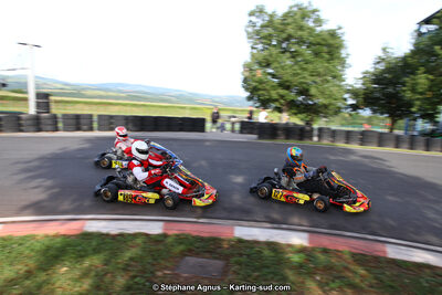 03 & 04/06/2017 : 4ème manche du Championnat du Sud à Belmont sur Rance (Photos Stéphane Agnus) 2017 — karting