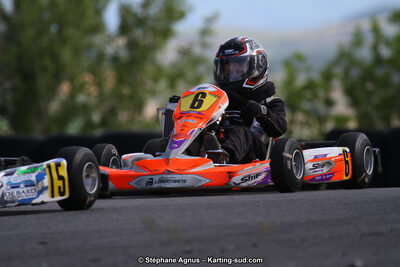 03 & 04/06/2017 : 4ème manche du Championnat du Sud à Belmont sur Rance (Photos Stéphane Agnus) 2017 — karting