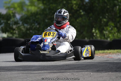 03 & 04/06/2017 : 4ème manche du Championnat du Sud à Belmont sur Rance (Photos Stéphane Agnus) 2017 — karting