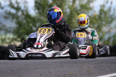 03 & 04/06/2017 : 4ème manche du Championnat du Sud à Belmont sur Rance (Photos Stéphane Agnus) 2017 — karting