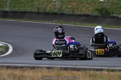 03 & 04/06/2017 : 4ème manche du Championnat du Sud à Belmont sur Rance (Photos Stéphane Agnus) 2017 — karting